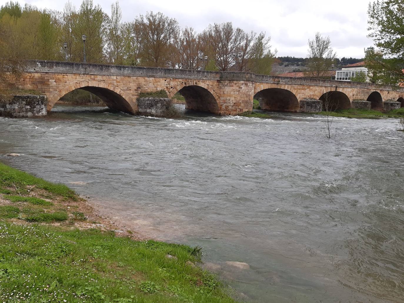 La suelta de agua del embalse de Aguilar ha hecho crecer considerablemente el río. 