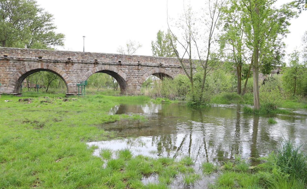 Imagen del río Tormes en los alrededores del Puente Romano. 