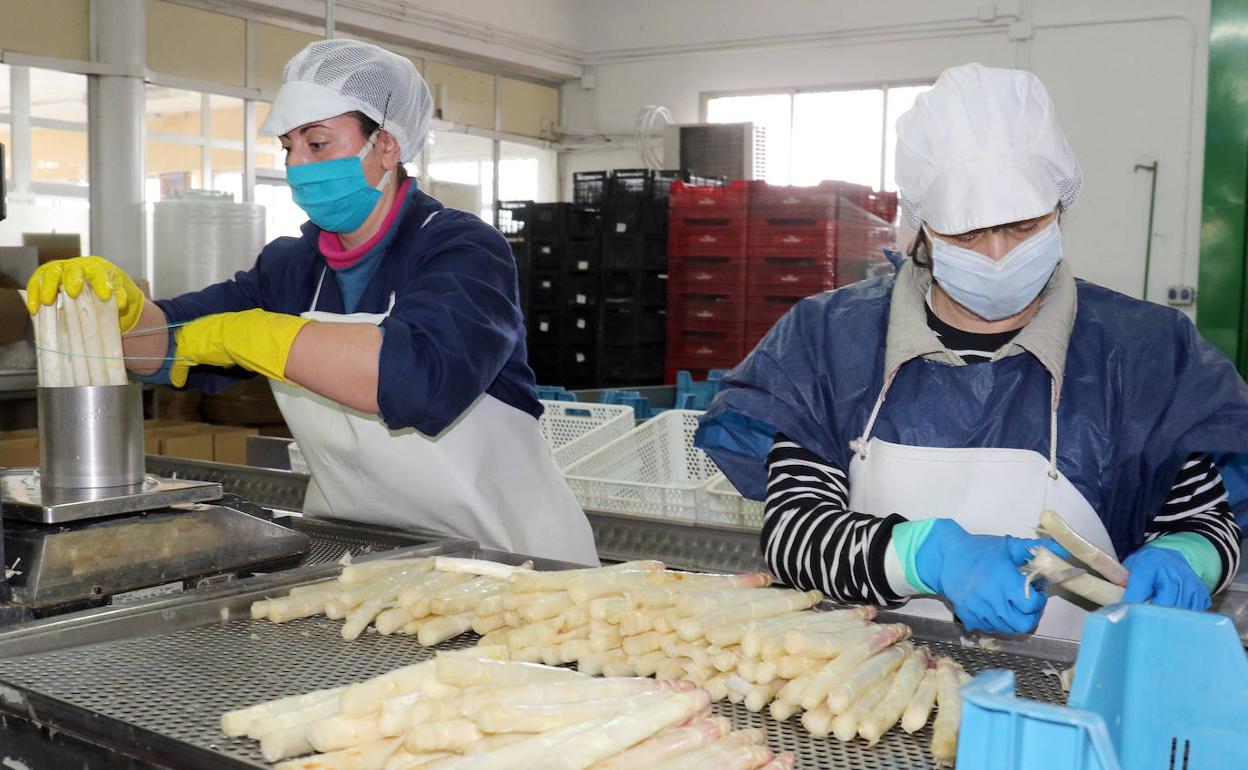 Dos empleadas en la factoría de espárragos de La Huerta de Luis, en Tudela de Duero. 