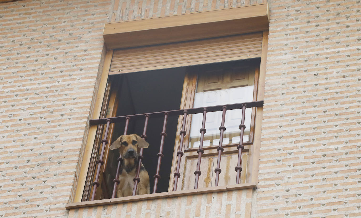 Los niños vuelven a las calles de Palencia. 