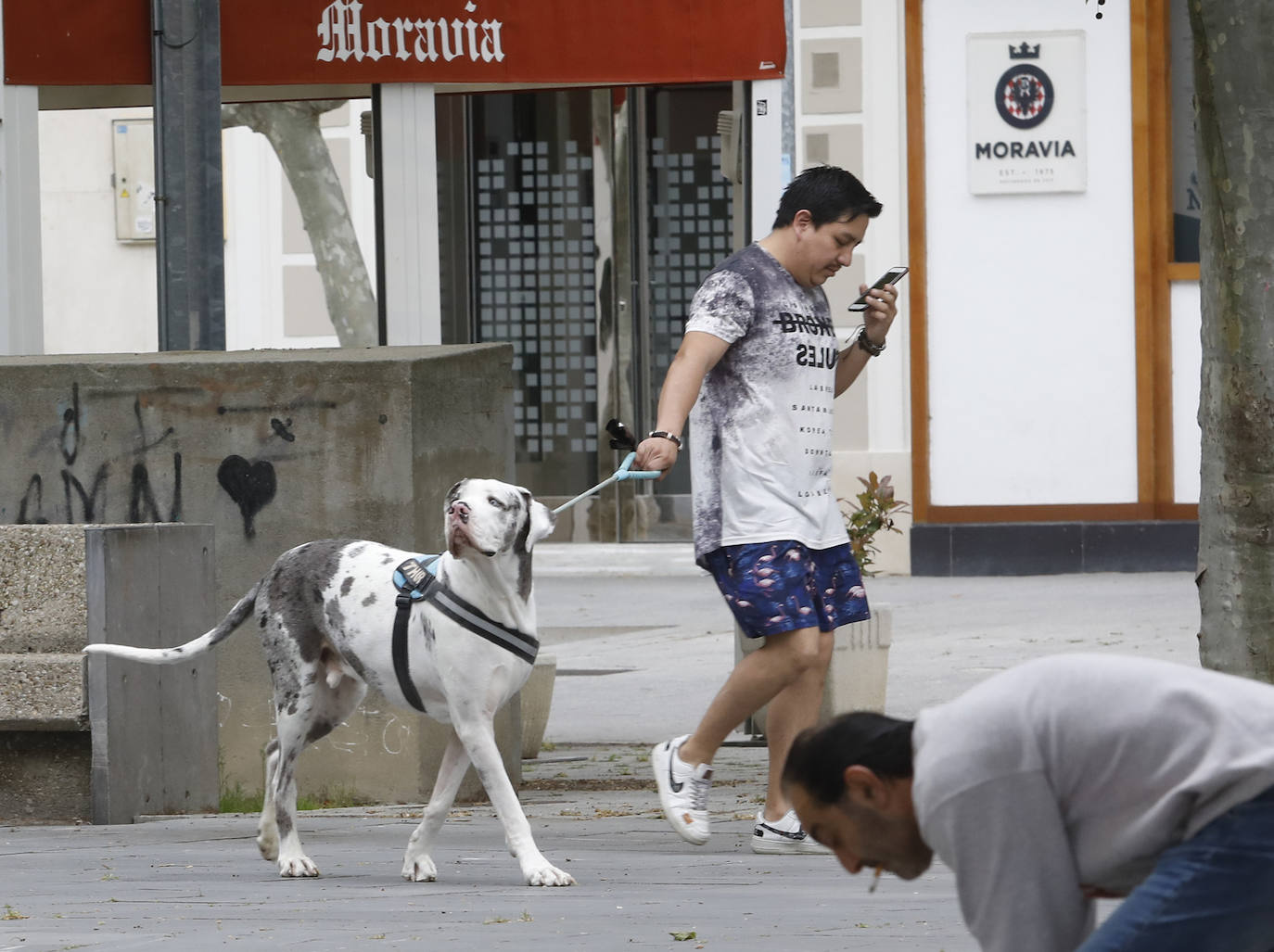 Los niños vuelven a las calles de Palencia. 