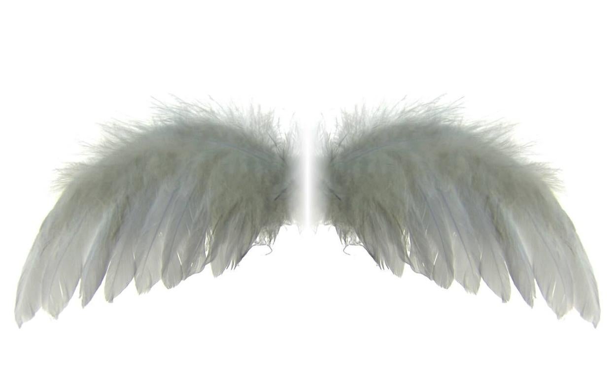 Coronavirus Opinión: Las muchachas de las blancas alas