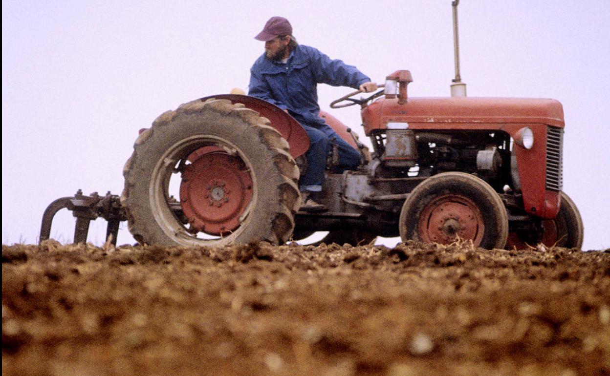 El Gobierno prorroga hasta el 15 de junio el plazo para pedir las ayudas de la PAC