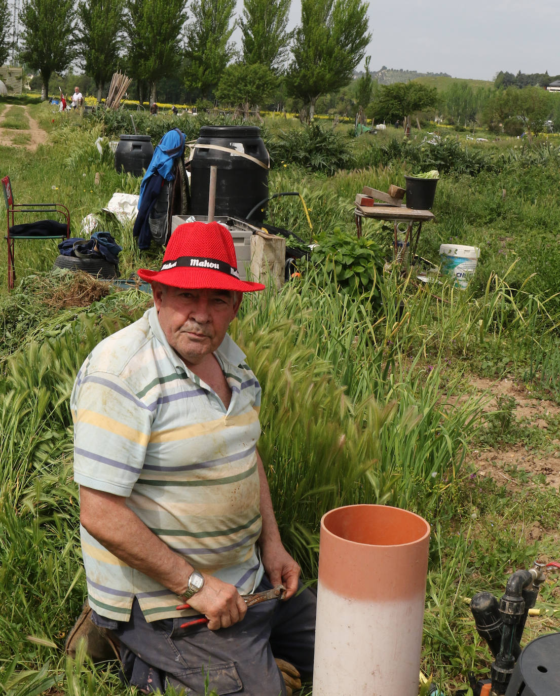 Fotos: Reabren los huertos ecológicos del INEA en Valladolid