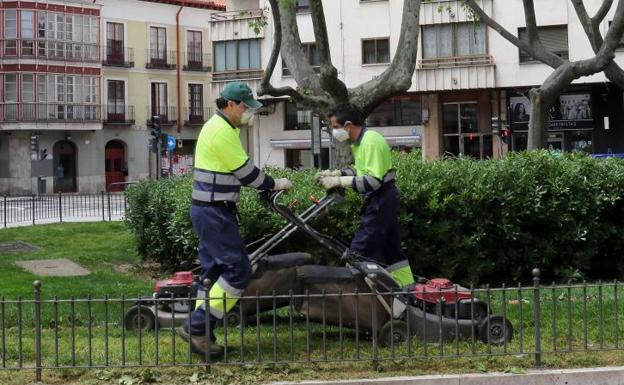 Trabajos de jardinería en la plaza de Santa Cruz.