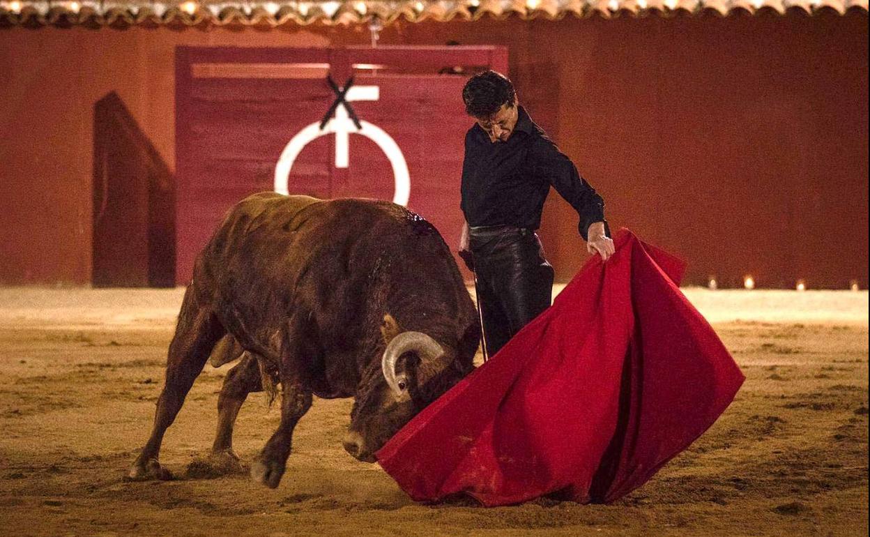 La ganadería 'El Pilar' de Salamanca homenajea a las víctimas del Covid-19 con su tentadero online 'haciendo la luna'