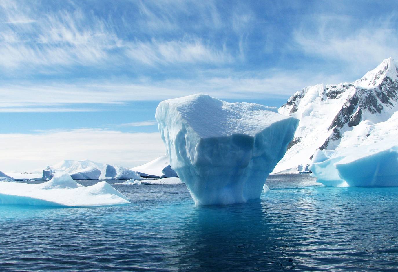 Antártida | Ballenas, orcas y leones marinos habitan las aguas heladas de este lugar al que sólo se puede acceder en barcos de expedición.