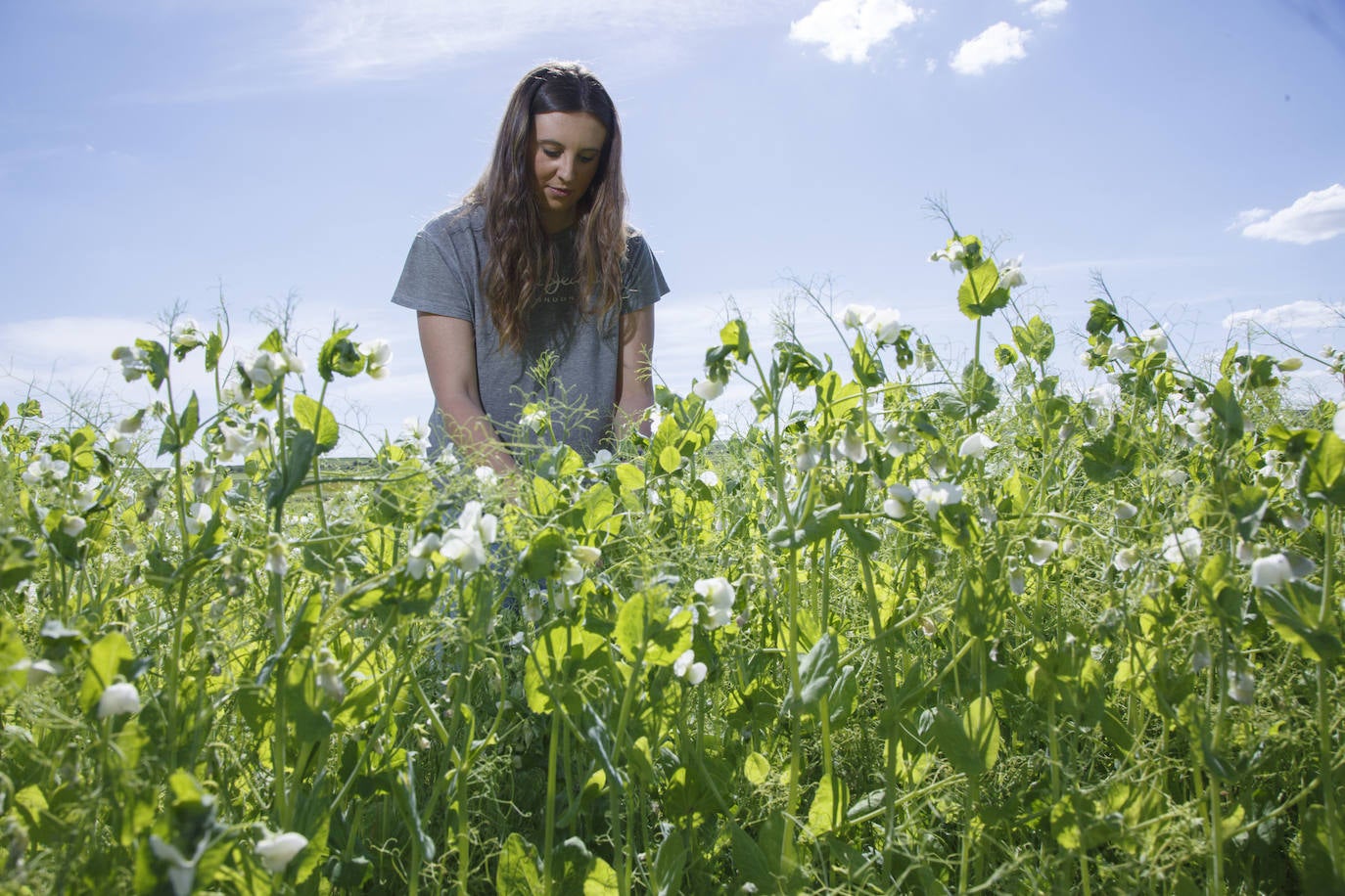 Carolina Bravo, agricultora de secano.