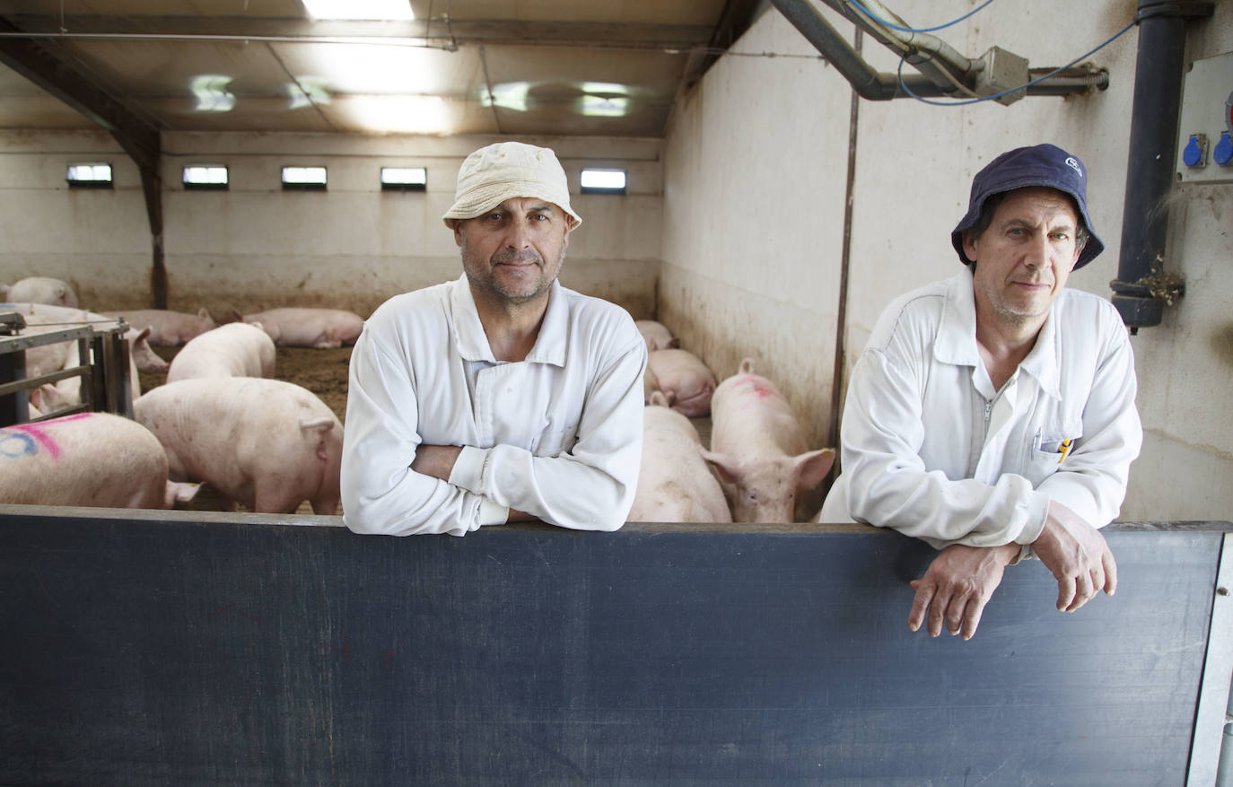 Carlos Baeza, ganadero de porcino.