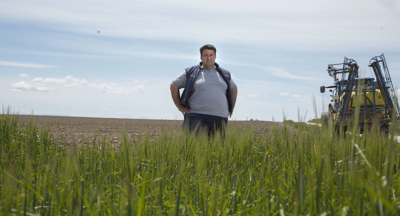 José Antonio Benito, productor de patata.