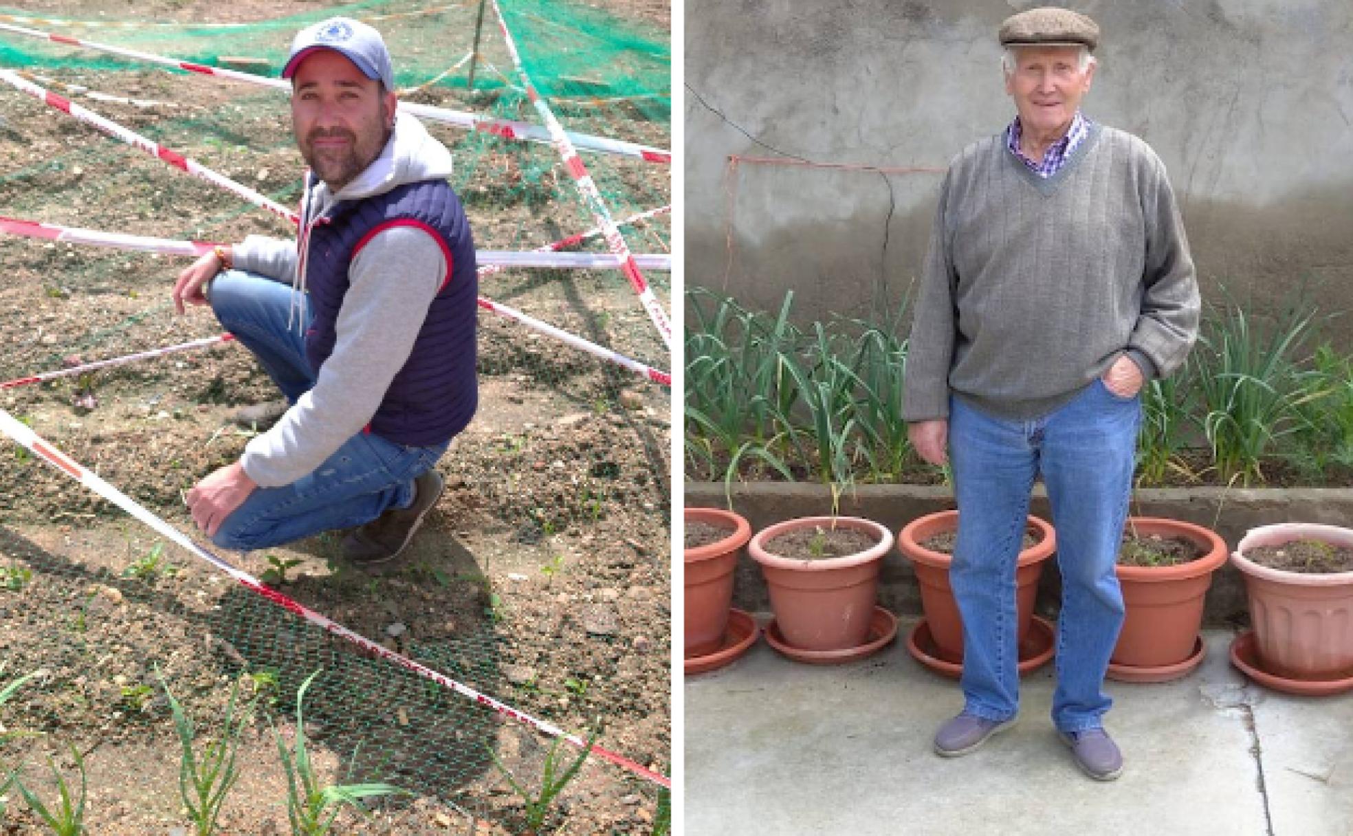El alcalde de Pollos, Javier García Rojo, en su huerto. A la derecha, su vecino Ambrosio, que le aconseja. 