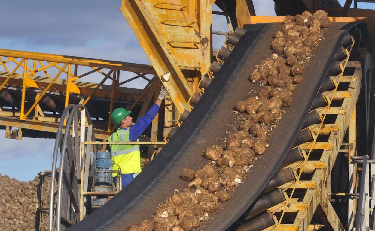 Imagen de archivo de los trabajo en la cooperativa Acor, de Olmedo.