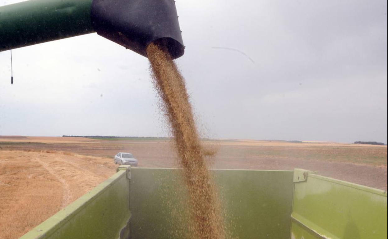 Cosechadora en el término municipal de Fuente el Sol. 