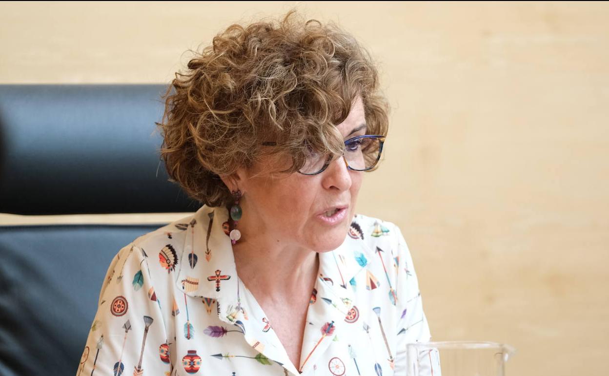 La directora de Salud Pública, Carmen Pacheco, en su intervención.