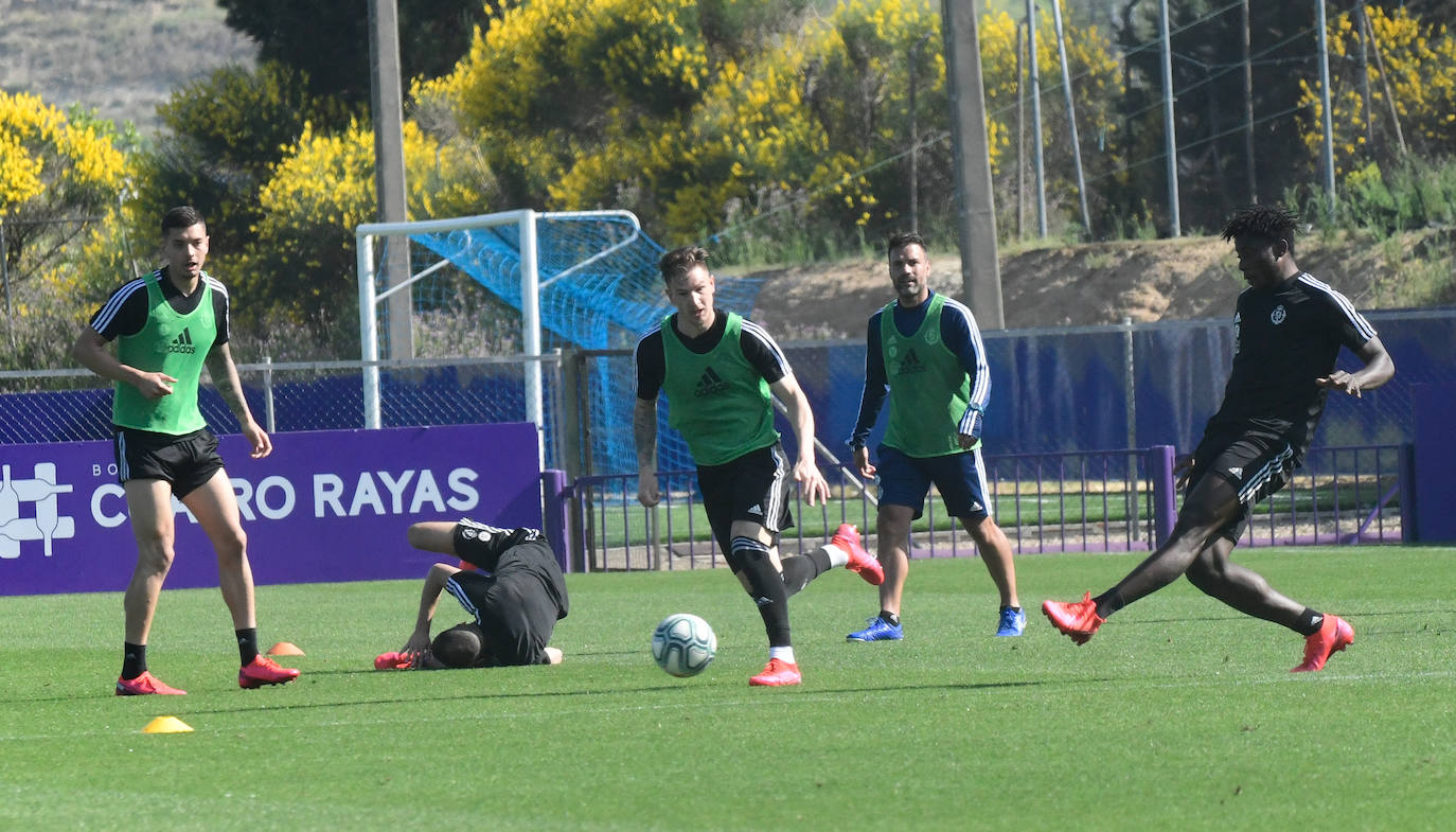 Fotos: El Real Valladolid puede entrenar en grupos de 14