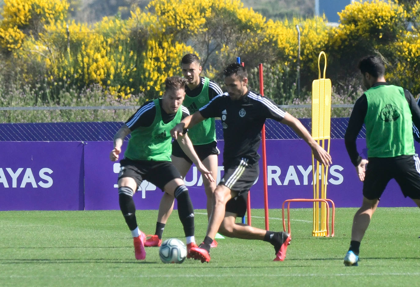 Fotos: El Real Valladolid puede entrenar en grupos de 14