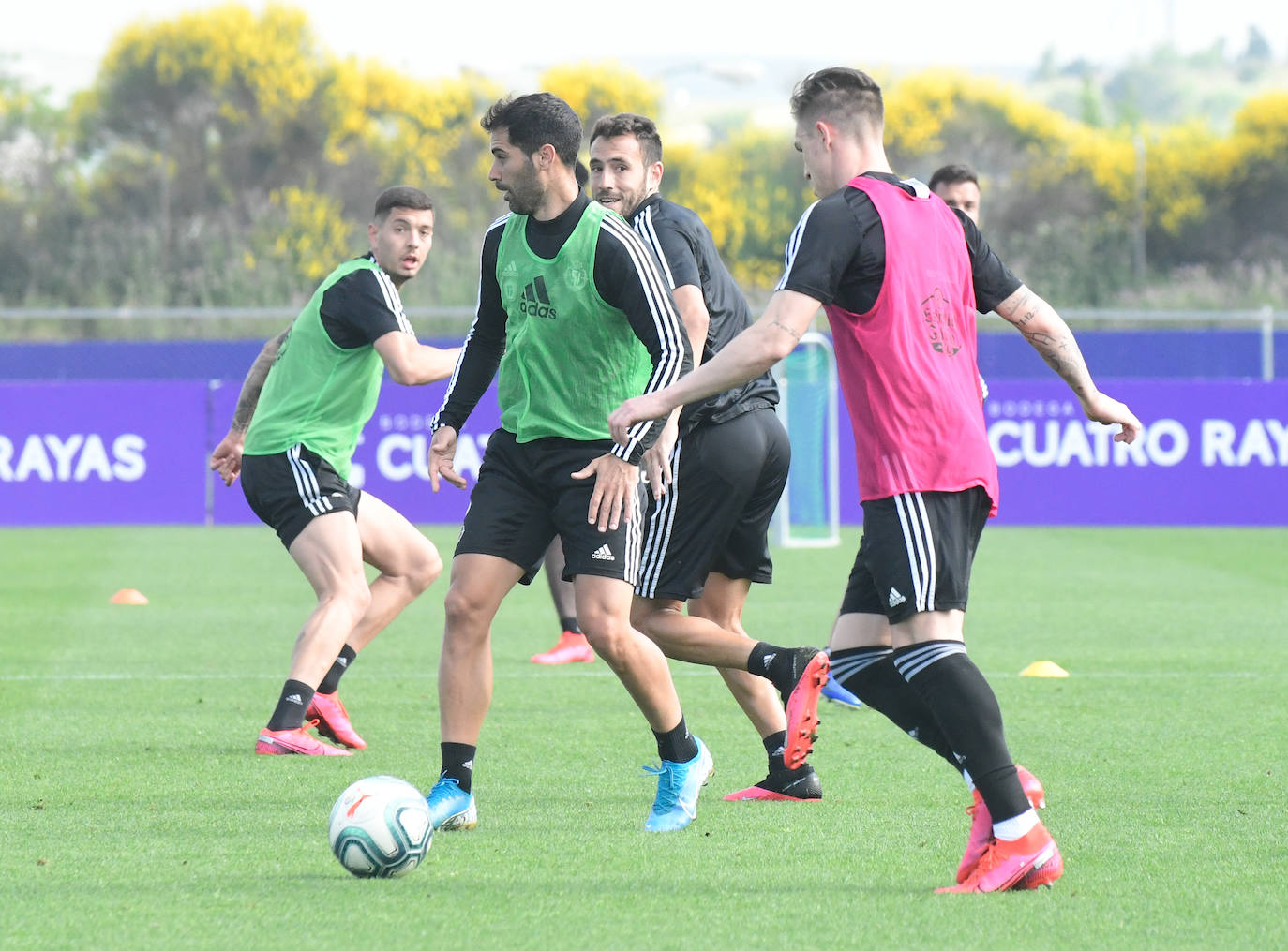 Fotos: El Real Valladolid puede entrenar en grupos de 14