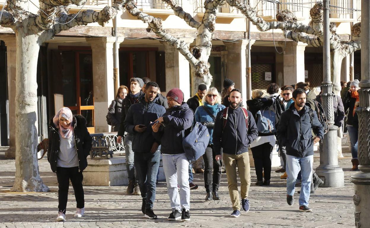 Un grupo de estudiantes extranjeros del programa Master Erasmus Mundus en el campus de la Yutera visitan Palencia.