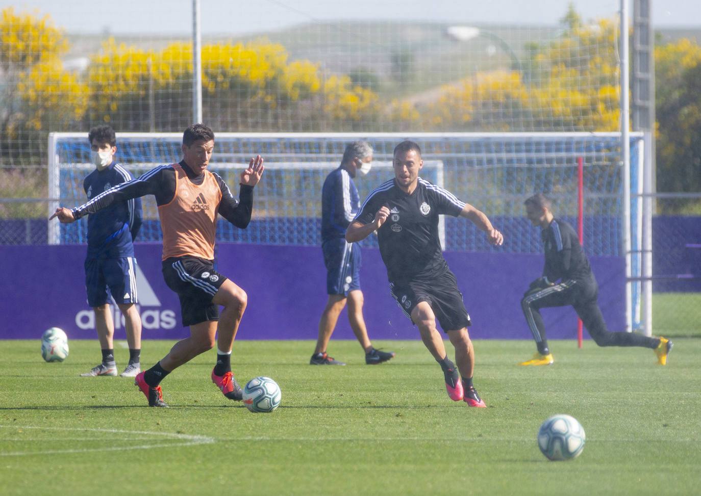 La plantilla de Sergio González se ha ejercitado esta mañana en las instalaciones del Pucela. 