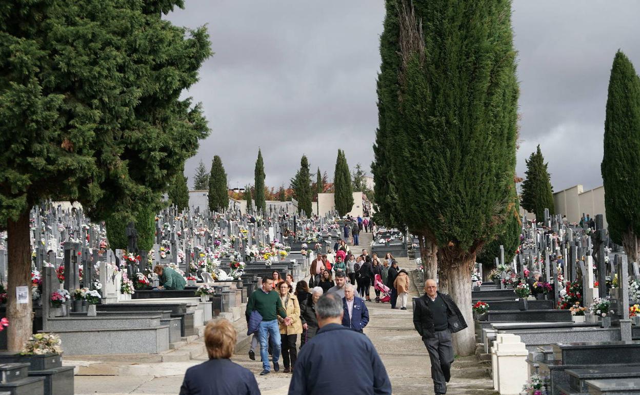 Imagen del cementerio San Carlos Borromeo de Salamanca. 