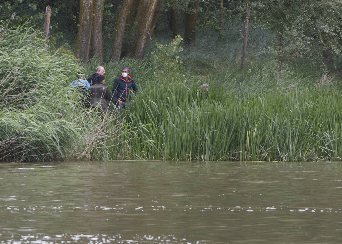 Agentes de la Guardia Civil rastrean desde ayer el río a la altura de Simancas en busca de un cocodrilo de gran tamaño. 