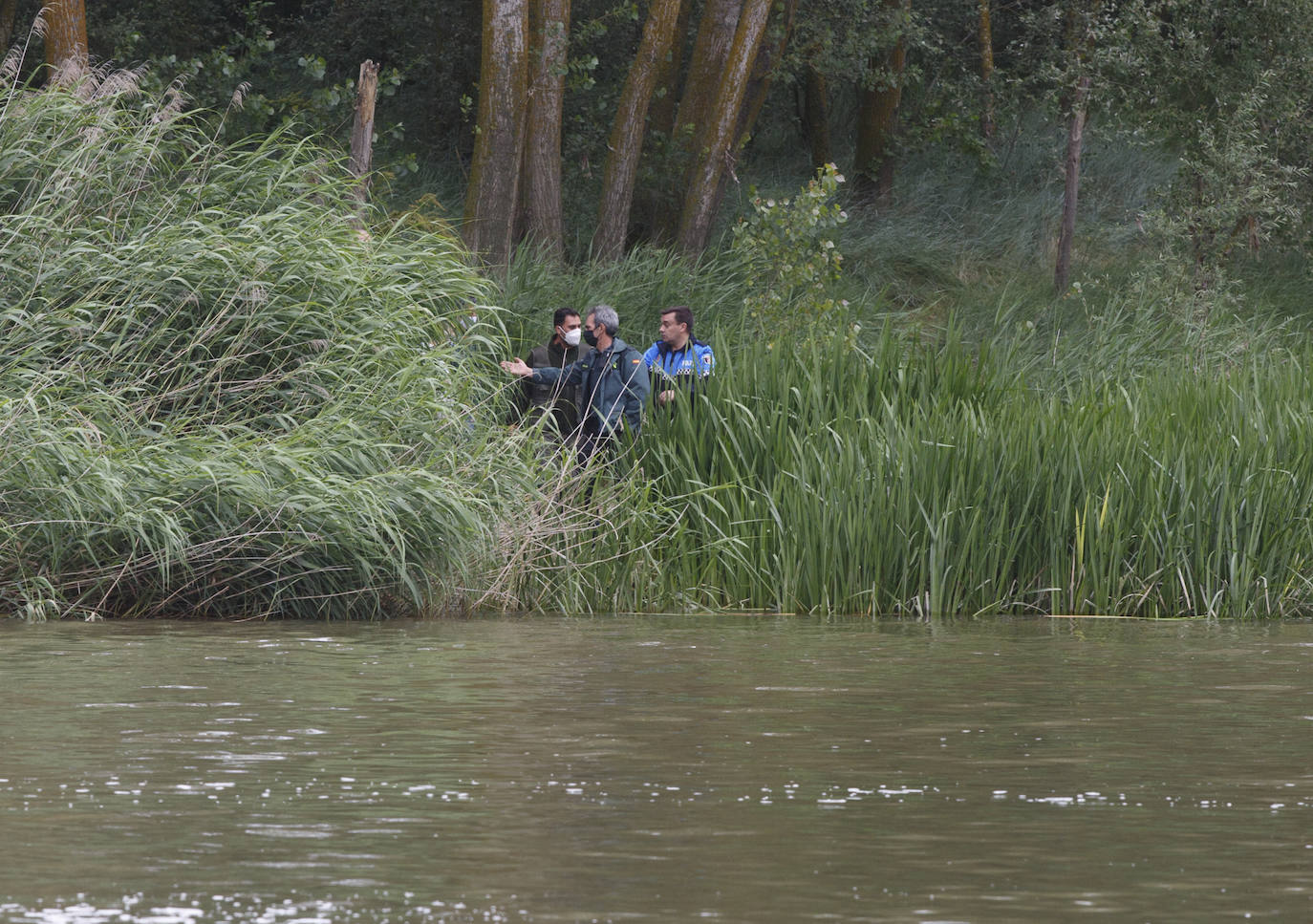 Agentes de la Guardia Civil rastrean desde ayer el río a la altura de Simancas en busca de un cocodrilo de gran tamaño. 