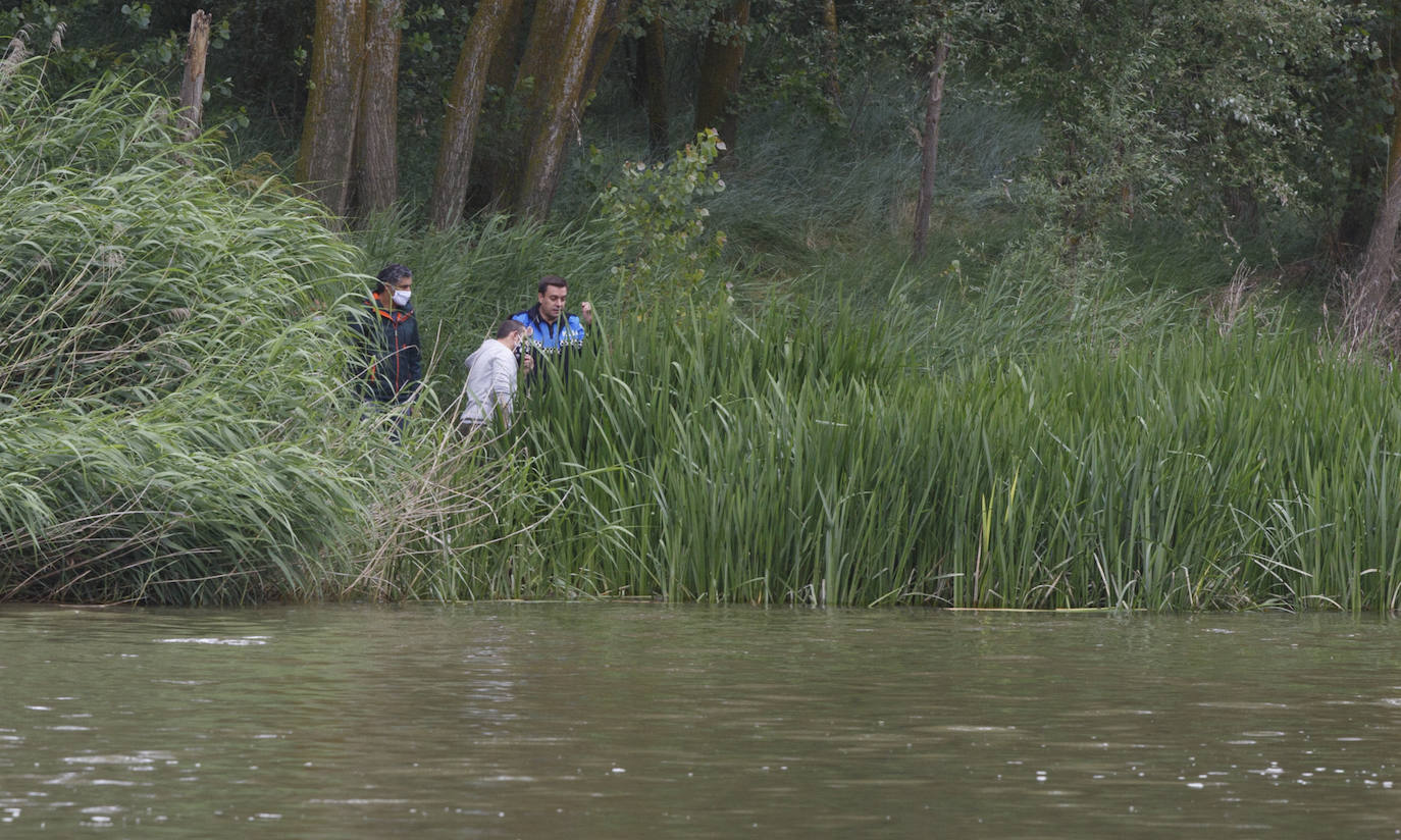 Agentes de la Guardia Civil rastrean desde ayer el río a la altura de Simancas en busca de un cocodrilo de gran tamaño. 