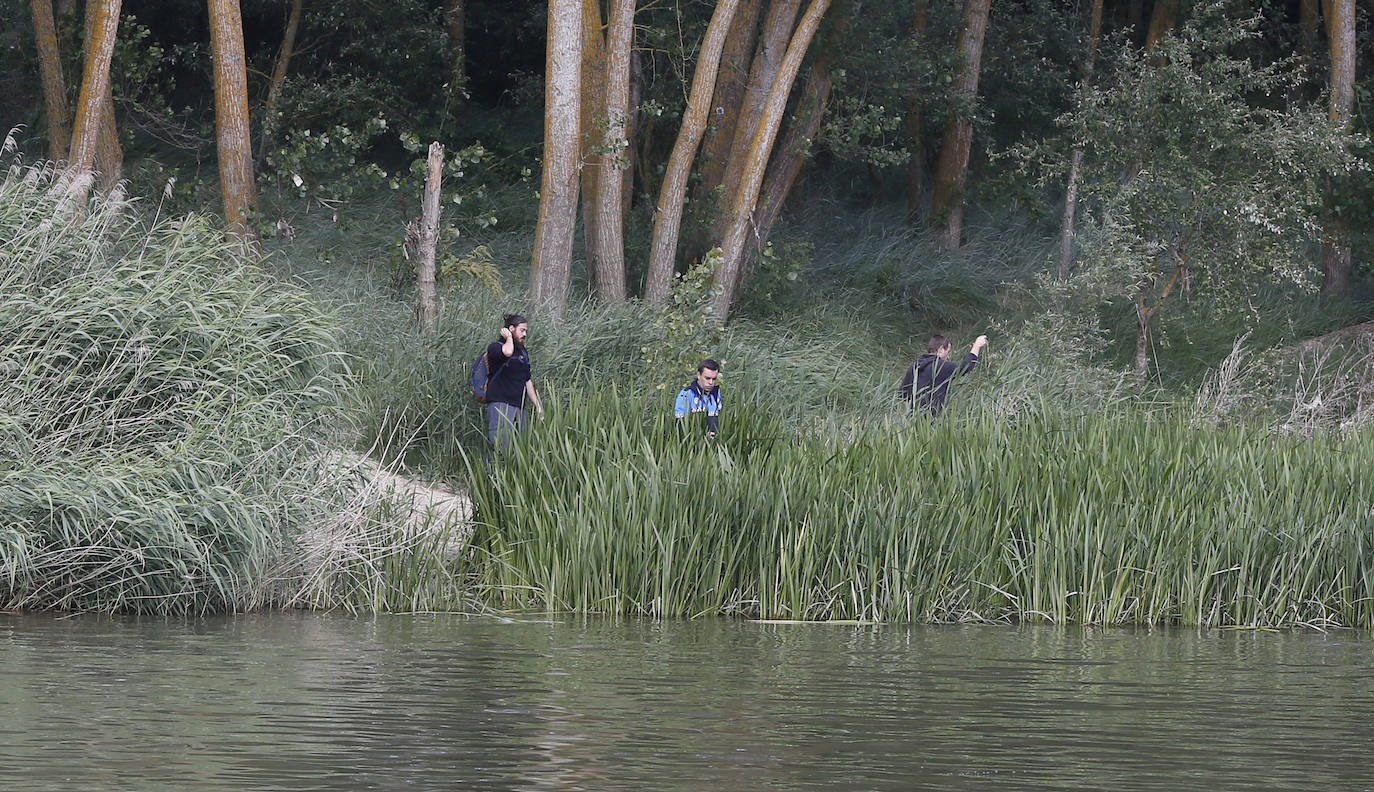 Agentes de la Guardia Civil rastrean desde ayer el río a la altura de Simancas en busca de un cocodrilo de gran tamaño. 