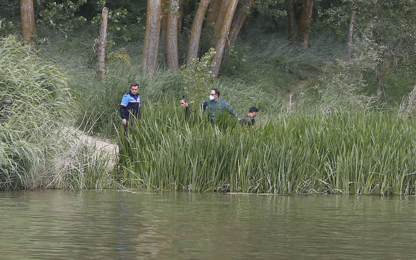 Agentes de la Guardia Civil rastrean desde ayer el río a la altura de Simancas en busca de un cocodrilo de gran tamaño. 