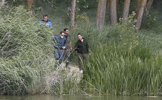 La búsqueda en Valladolid de un cocodrilo da con huellas, nidos y restos de un pez