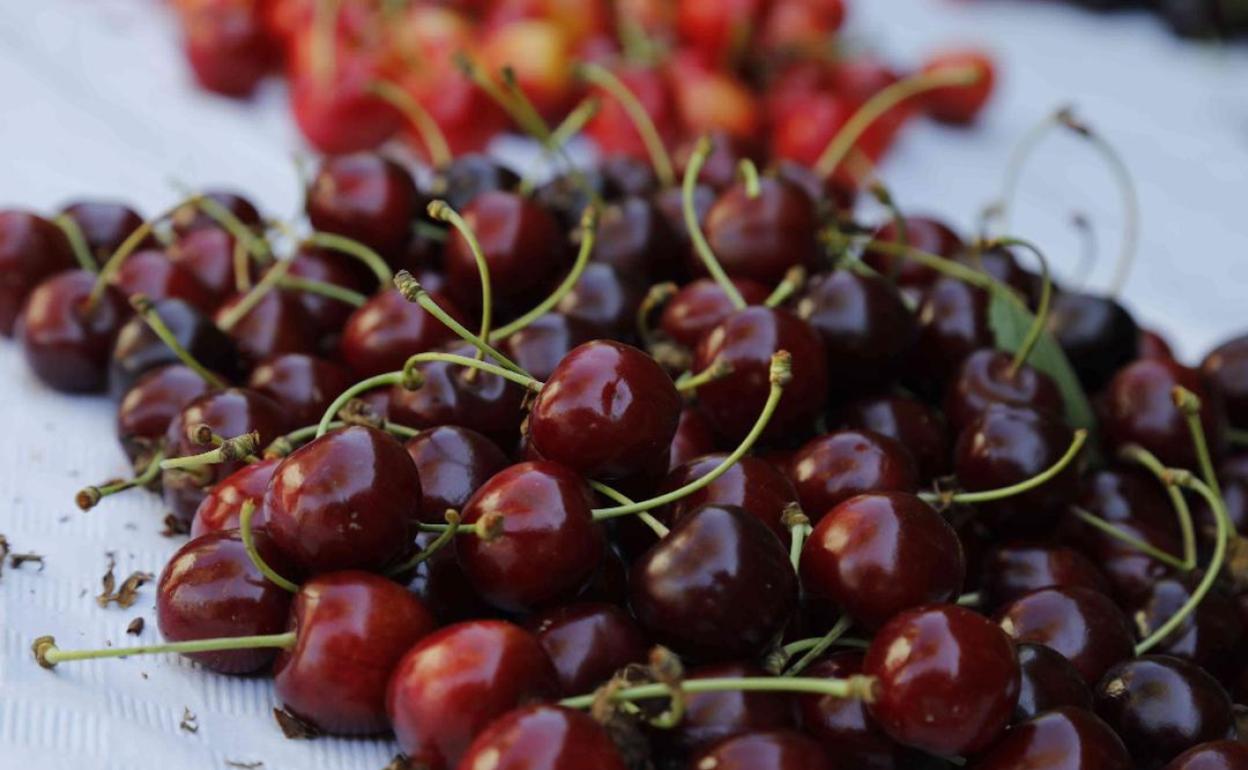 Cerezas, el dulce beso de junio