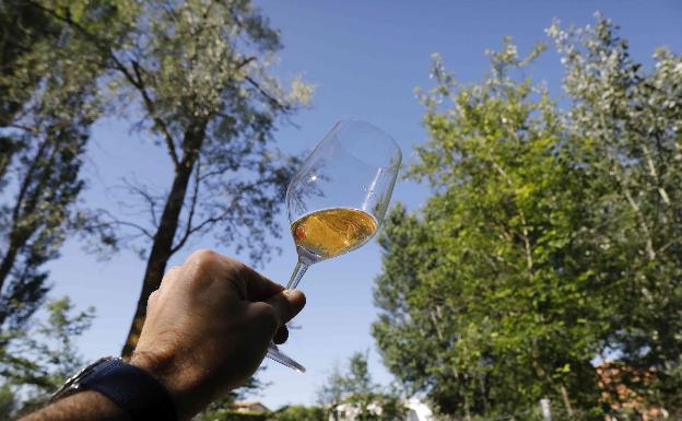 Vino resultante 