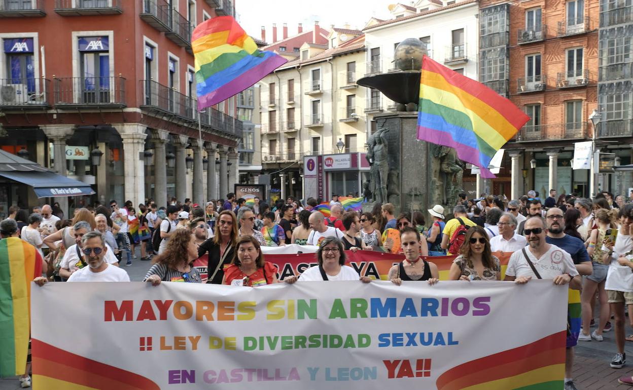 Manifestación celebrada en Valladolid con motivo del Día Internacional del Orgullo LGTB EN 2019.