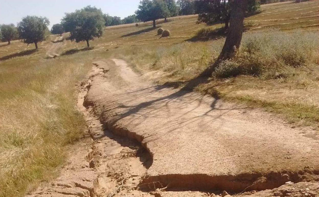 Estado de los caminos rurales de Martín de Yeltes tras las intensas lluvias del pasado 31 de mayo. 