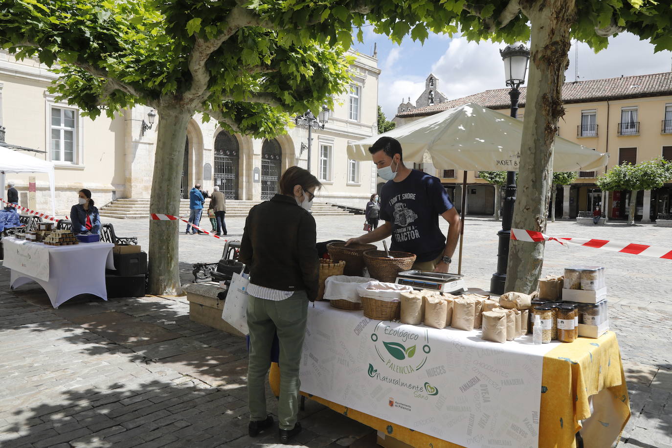 Fotos: El mercado ecológico de Palencia vuelve a la Plaza Mayor