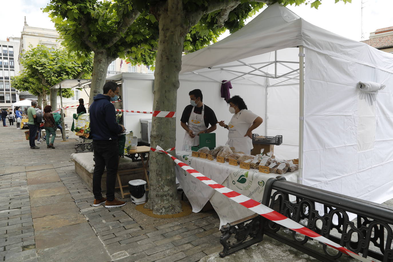 Fotos: El mercado ecológico de Palencia vuelve a la Plaza Mayor