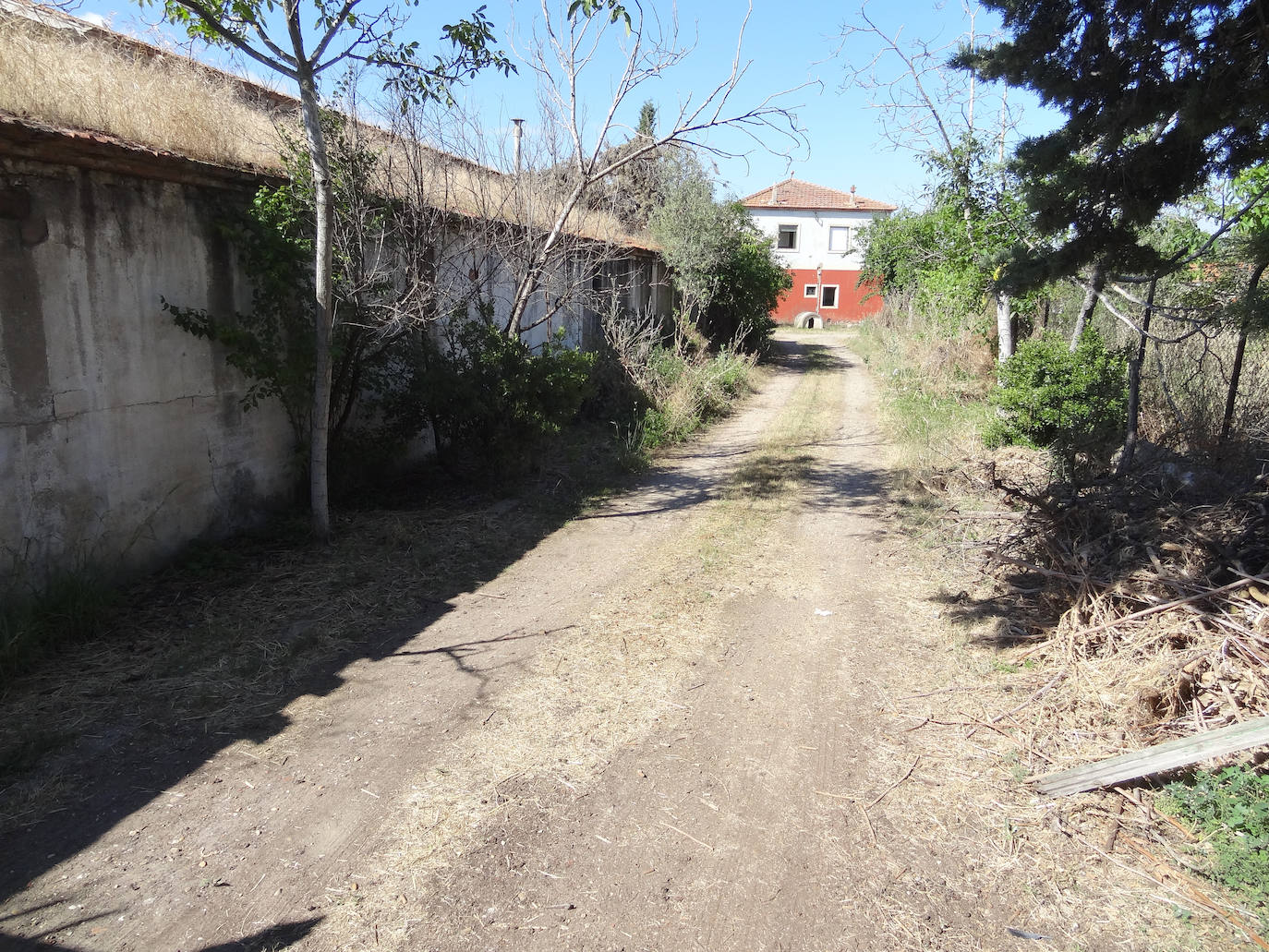 Fotos: Antigua Granja Luisa, en la calle Esmeralda del polígono de San Cristóbal