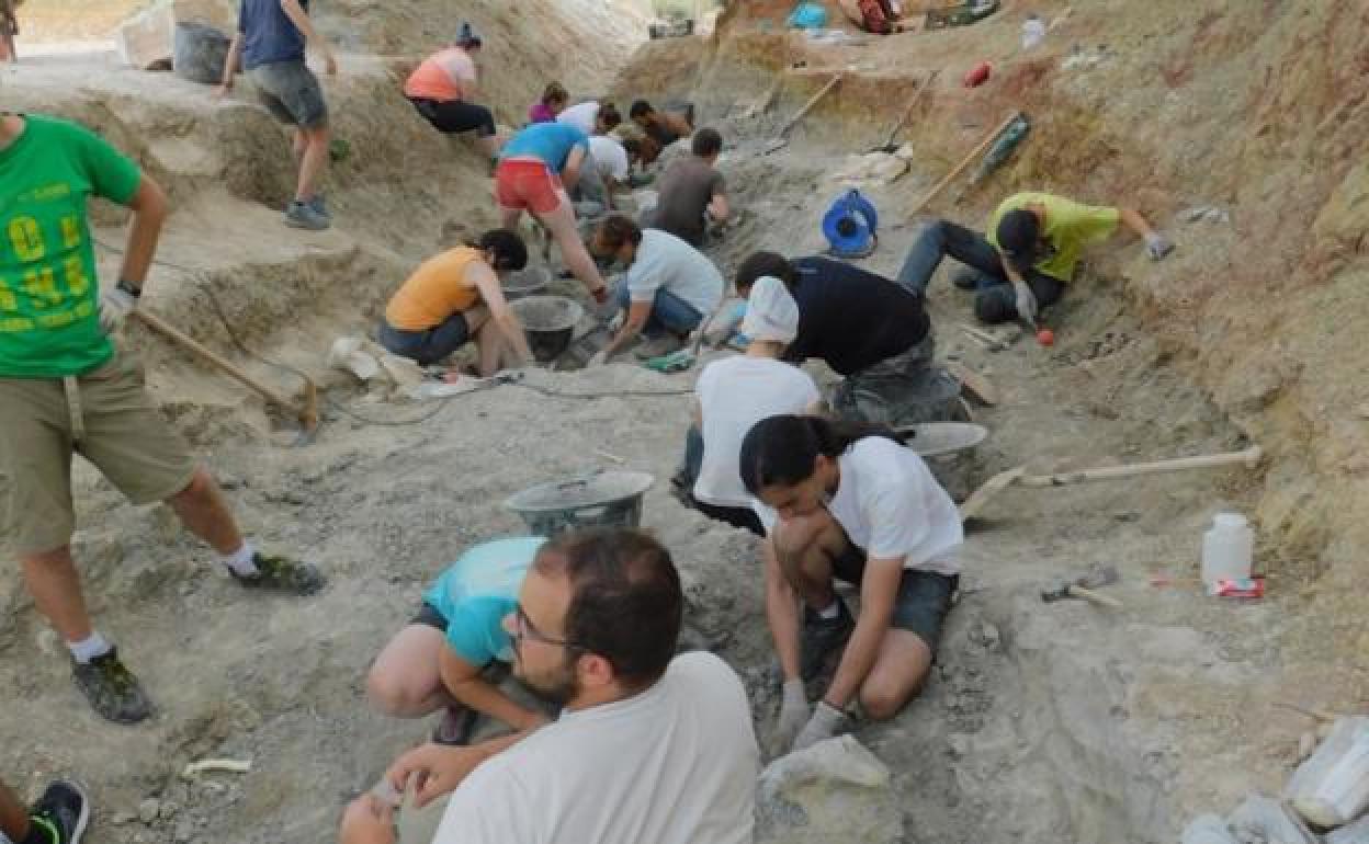 Trabajos en el yacimiento de Torrelara. 