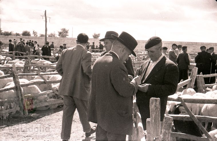 Fotos: Estampas del Valladolid antiguo (XLV): así eran las ferias de ganado de Medina del Campo en los años 50