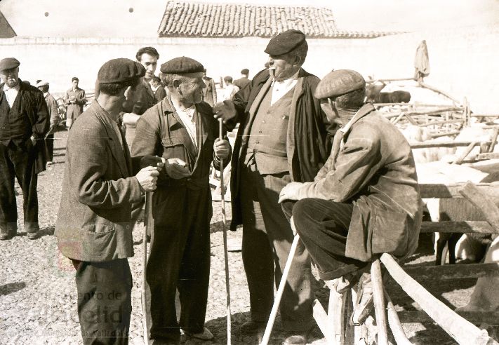 Fotos: Estampas del Valladolid antiguo (XLV): así eran las ferias de ganado de Medina del Campo en los años 50