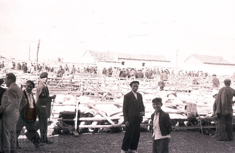 Fotos: Estampas del Valladolid antiguo (XLV): así eran las ferias de ganado de Medina del Campo en los años 50