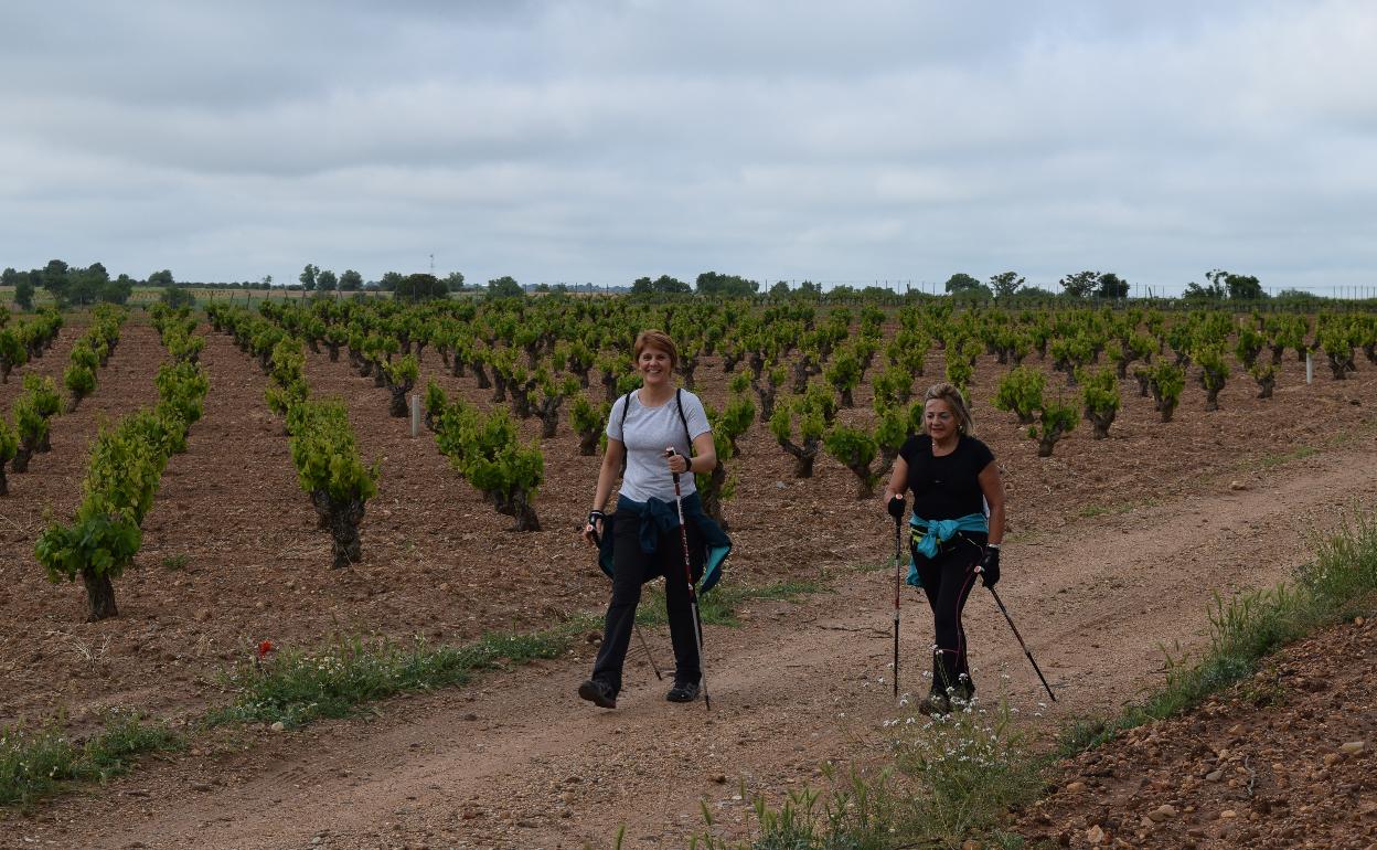 Dos caminantes entre viñedos por el Sendero del Clarete