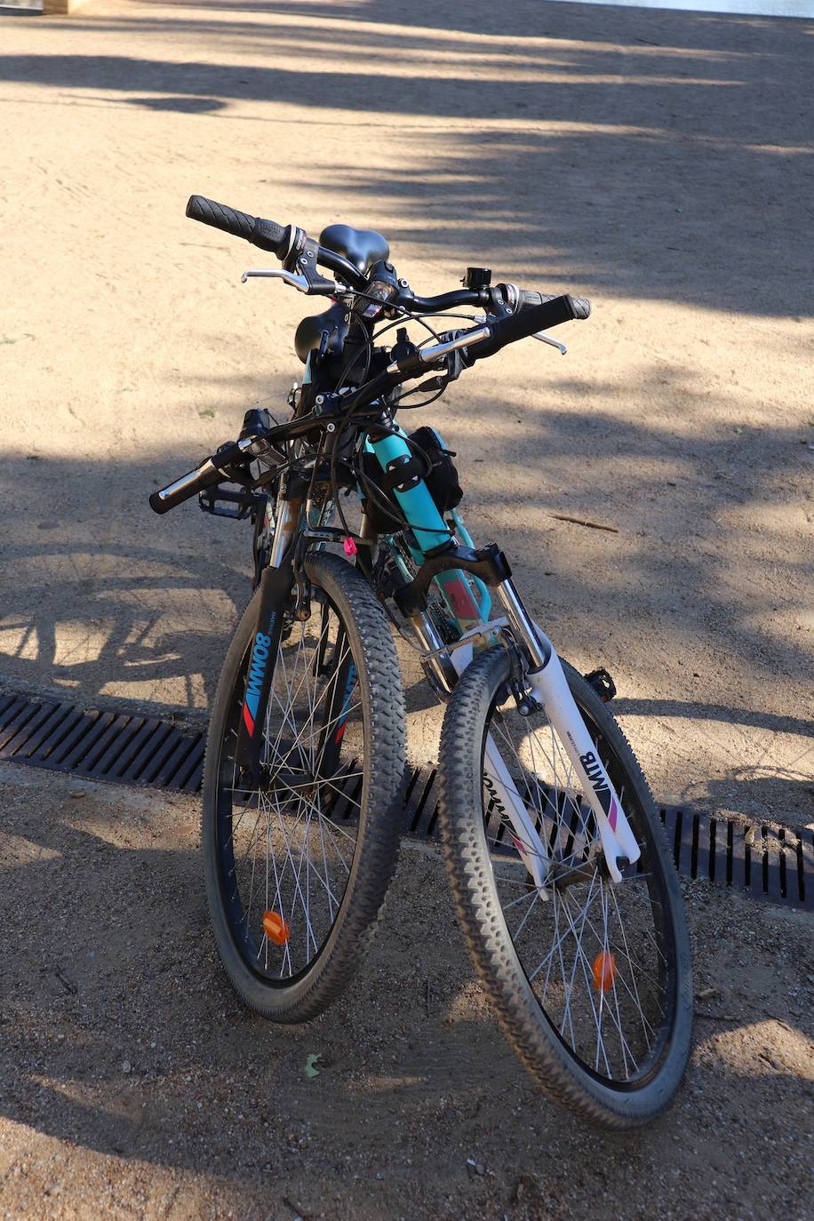 Sesenta riosecanos participaron en la marcha organizada por el centro de entrenamiento Playfit a beneficio de la Fundación Aladina