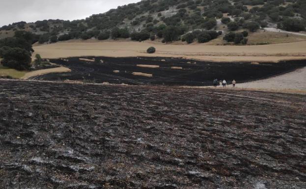 Imagen principal - Imágenes de las distintas actuaciones llevadas a cabo ayer por los bomberos de Baltanás.