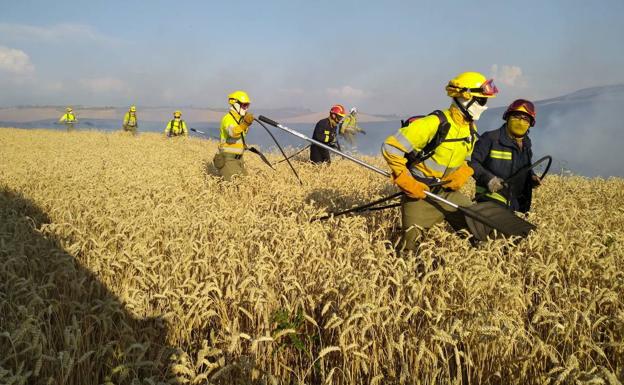 Imagen principal - Los servicios de extinción tratan de apagar el fuego.