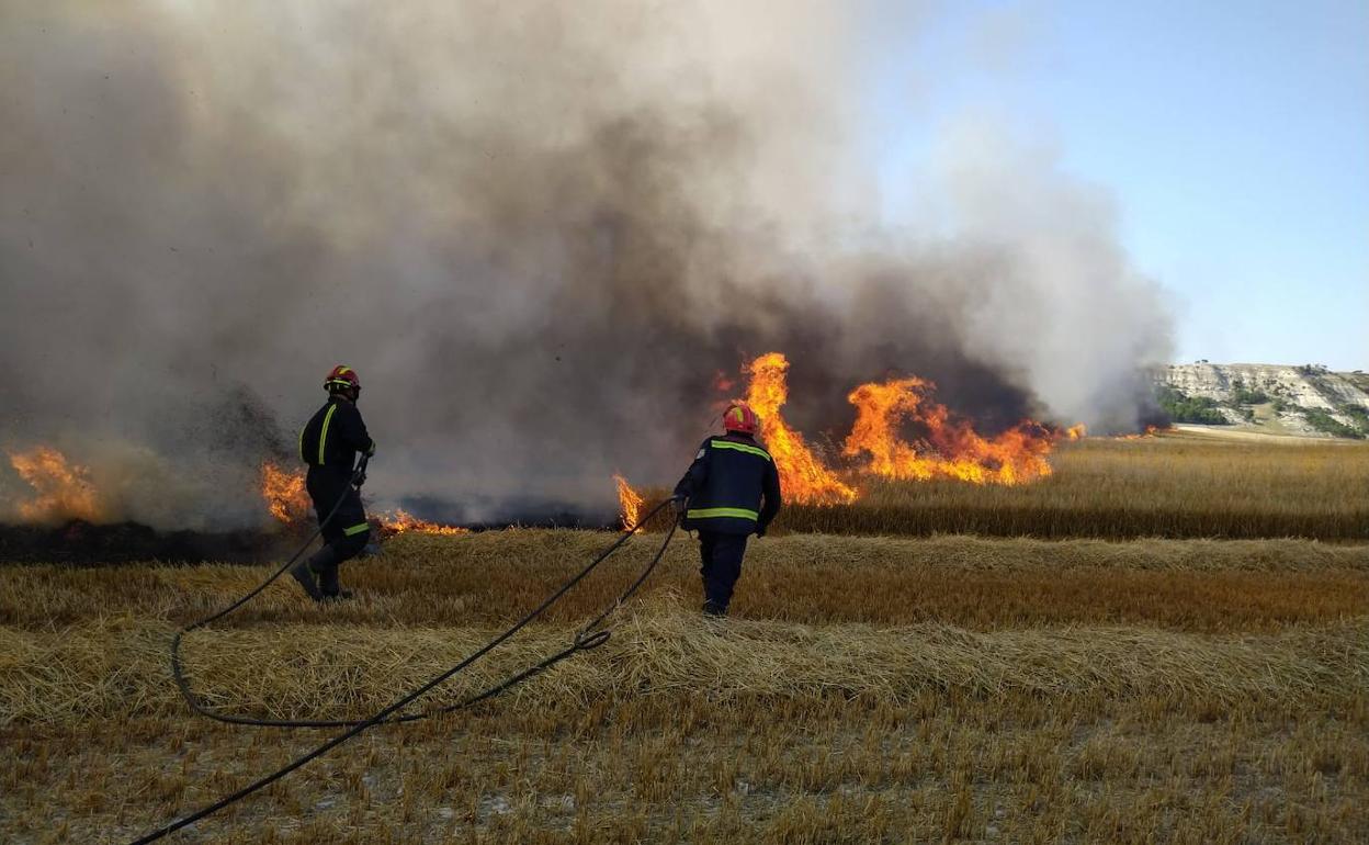 Los bomberos de Baltanás trabajan para acabar con las llamas. 