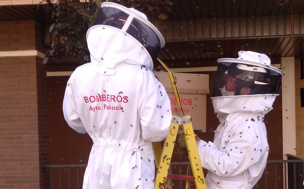 El 'comando apícola'