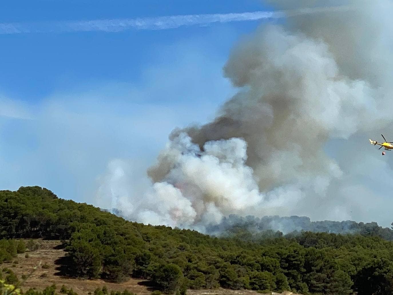 Arde parte del monte de Villagarcía de Campos. 