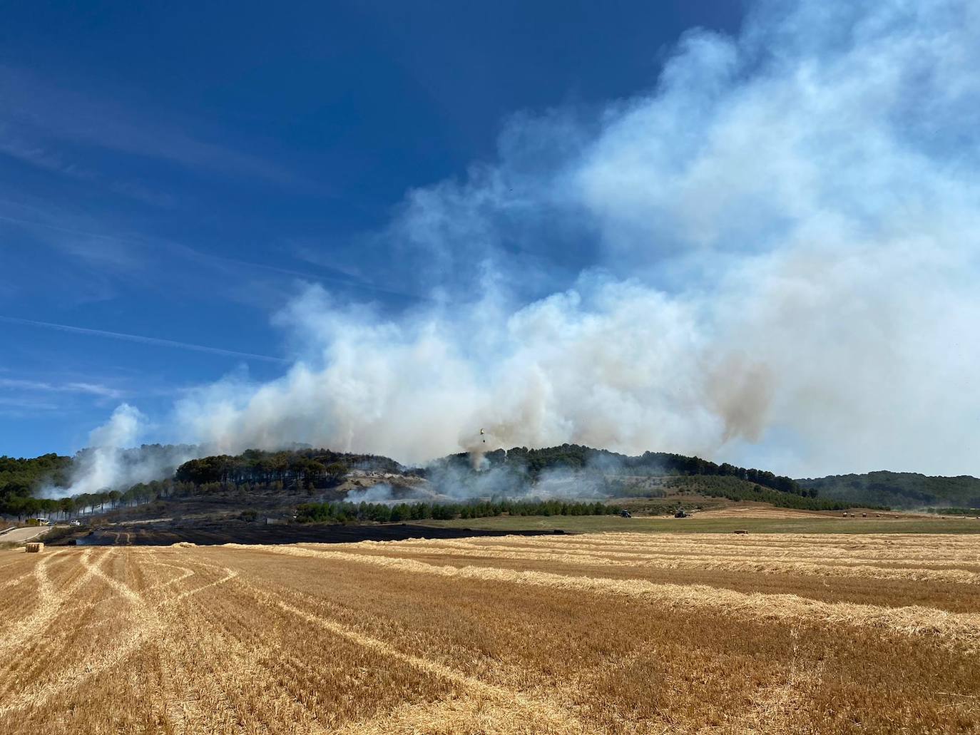 Arde parte del monte de Villagarcía de Campos. 