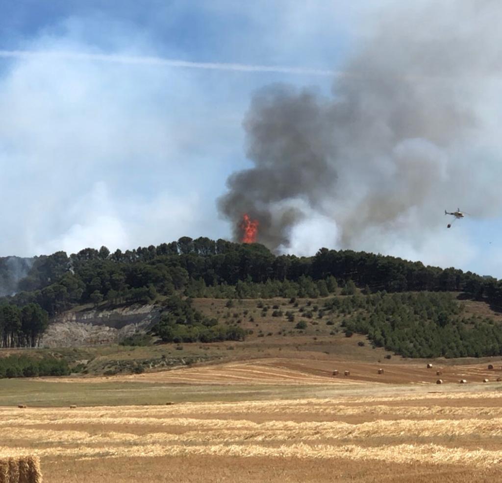 Arde parte del monte de Villagarcía de Campos. 